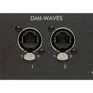 DMI-WAVES