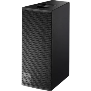 V10P loudspeaker